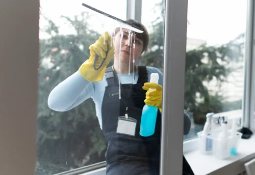 Nettoyage de vitres intérieures et extérieures à Saint-Genest-de-Contest
